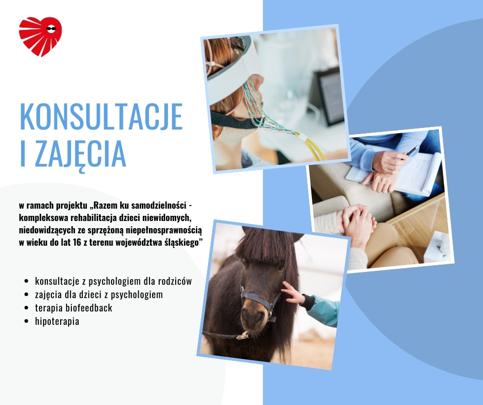 Konsultacje i zajęcia